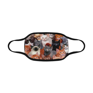 #I Love All Cats# Mouth Mask